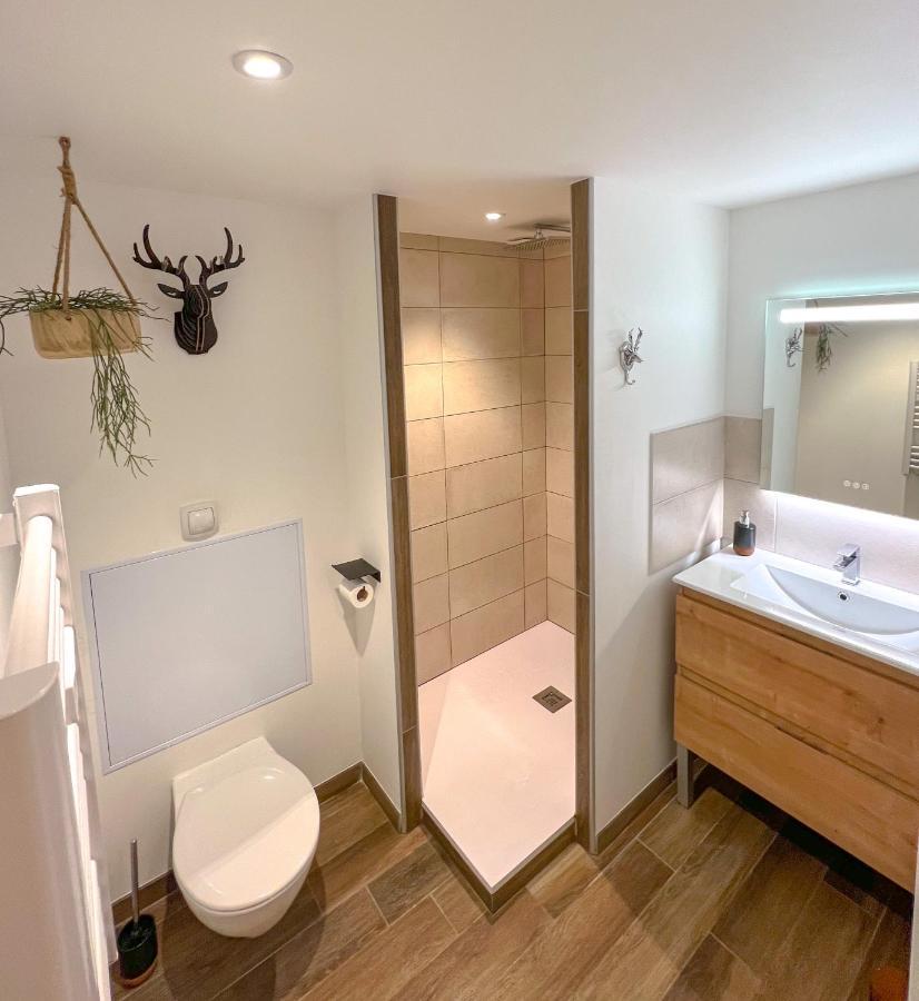 Le Repere Du Cerf T2 Residence Royal Milan St Lary Soulan 圣拉里苏朗 外观 照片